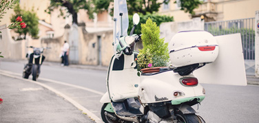 网络短信在线发送